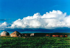 蒙古国草原风景