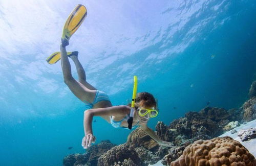 潜水用品品牌与购买指南：让你成为水下探险家！