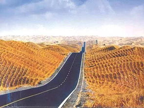 最美沙漠公路在哪儿啊