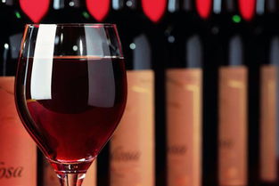 品味法国的魅力，探寻特色葡萄酒品牌的魅力