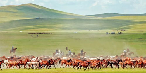 蒙古草原攻略