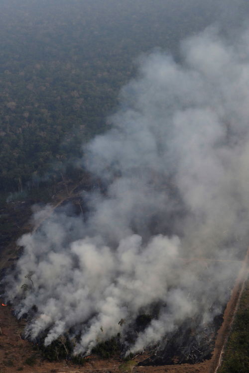 巴西亚马逊热带雨林大火后果