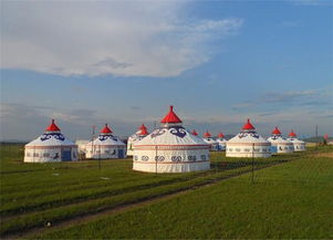 探访蒙古国：七日穿越草原的奇妙之旅