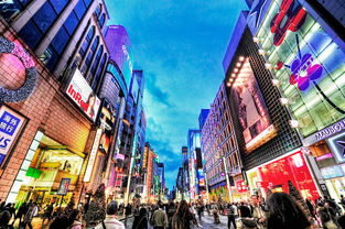 东京之旅：传统与现代的完美融合，感受东瀛之美的绝佳去处