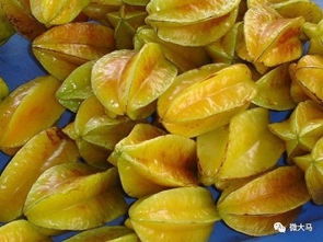马来西亚的特色水果