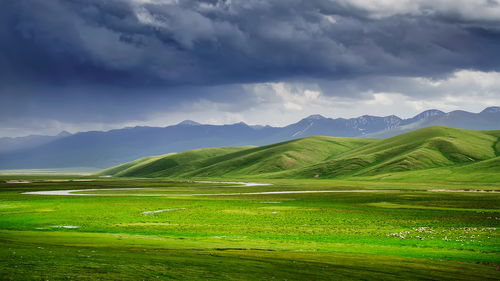 蒙古国草原风景