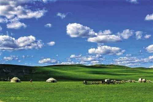 蒙古国草场