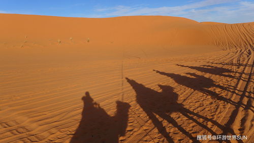 摩洛哥的沙漠面积有多大