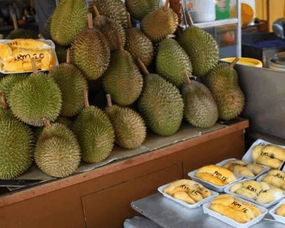 马来西亚最出名的水果