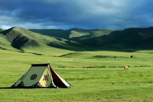 蒙古国草原面积多少万公顷