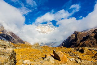 尼泊尔15日徒步喜马拉雅多少钱一天
