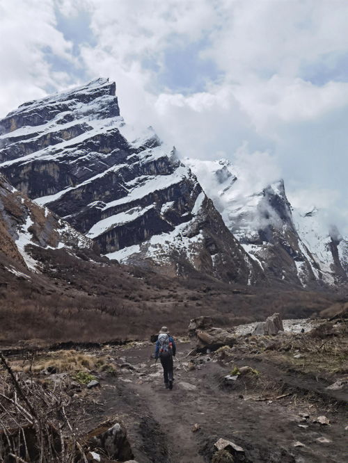 尼泊尔徒步abc全程多少公里路程
