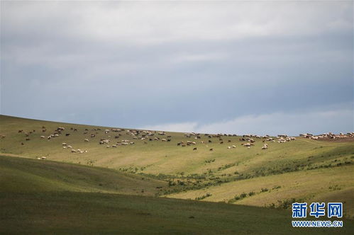 蒙古国美景