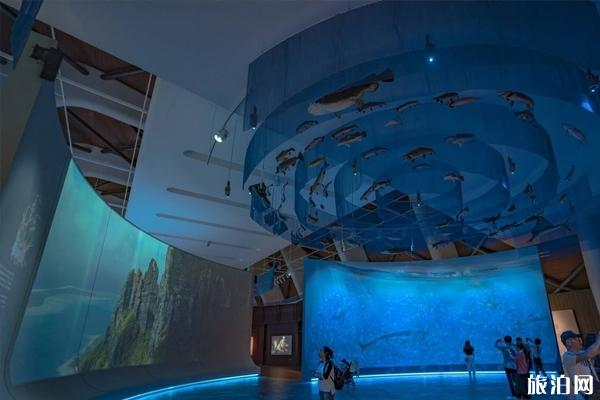 2019国庆节国家海洋博物馆参观预约量增加