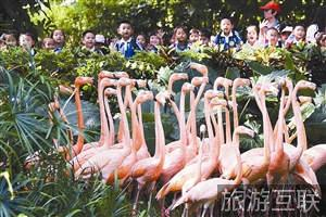 深圳野生动物园迎来2016年首批秋游学生