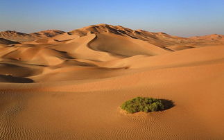 沙漠旅游排行榜前十