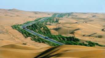 沙漠公路哪条风景好