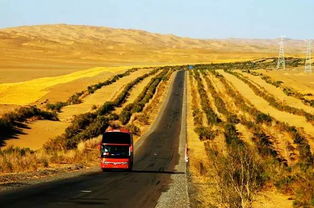 沙漠最美公路在哪里建成