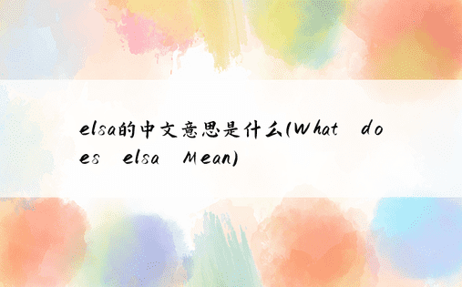 elsa的中文意思是什么（What does elsa Mean）